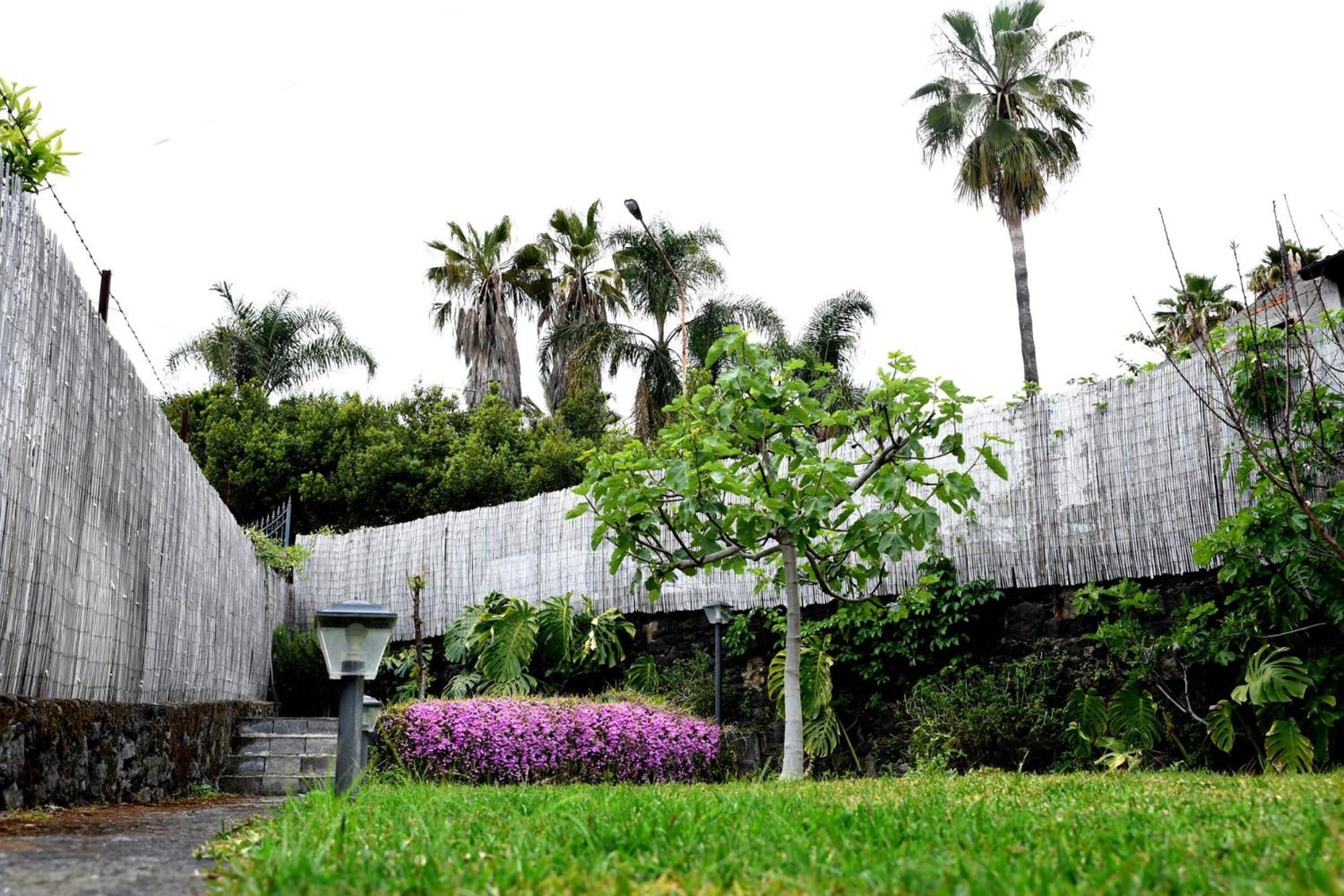 Casa Vacanze Borgata Del Sorbo أتشيريالي المظهر الخارجي الصورة